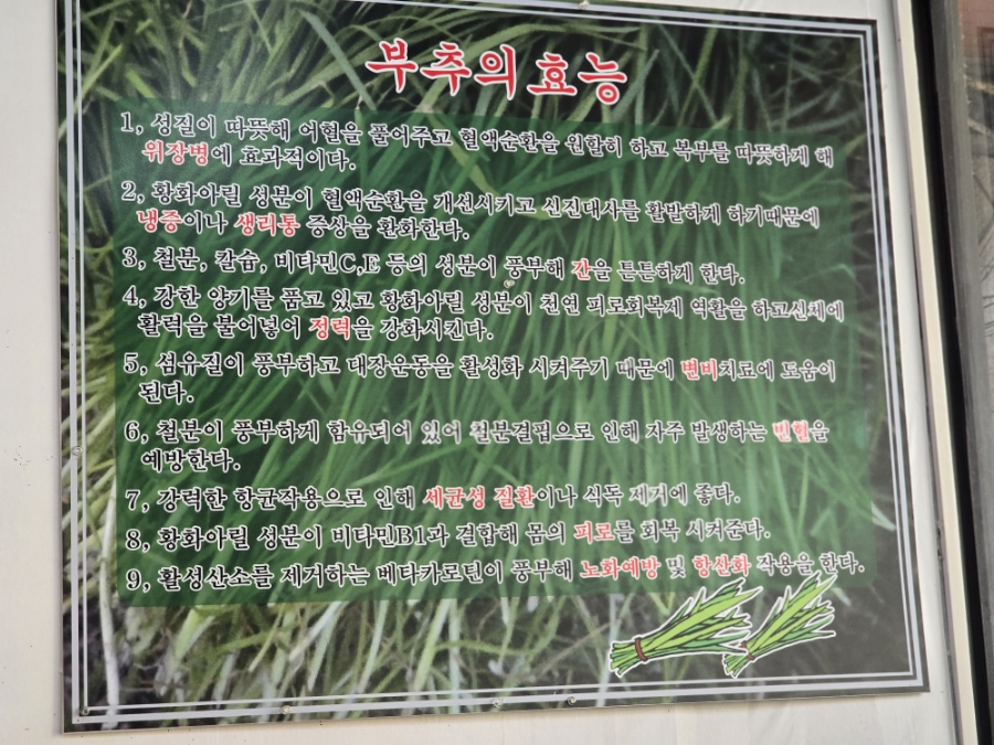 평촌손칼국수 이미지
