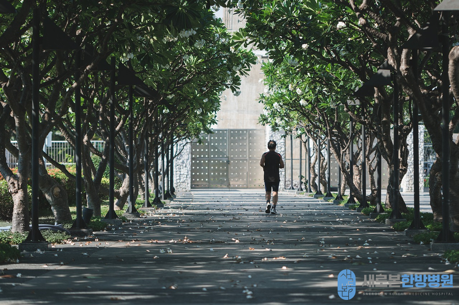 새로본한방병원 이미지
