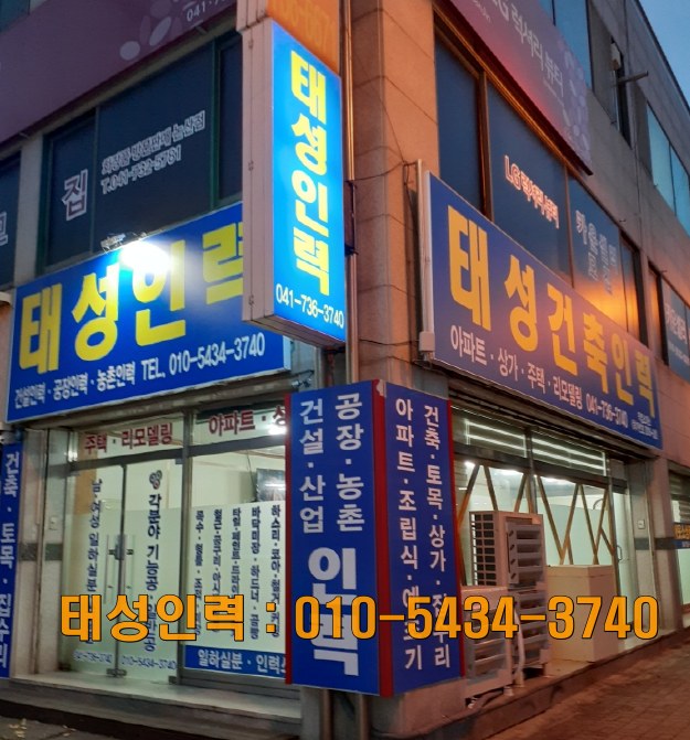 태성인력 이미지