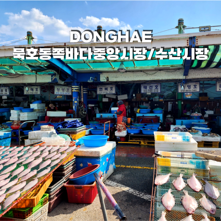 뉴동해수산 이미지