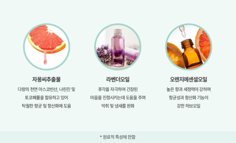 리영글로벌 이미지