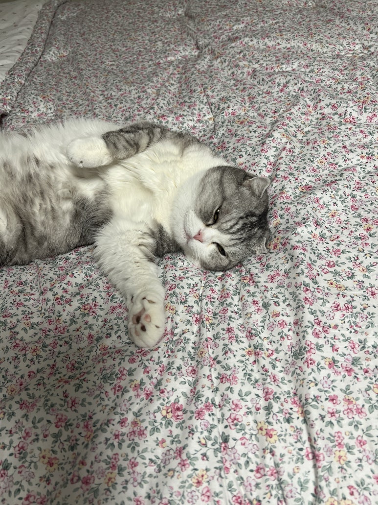 행복8 이미지
