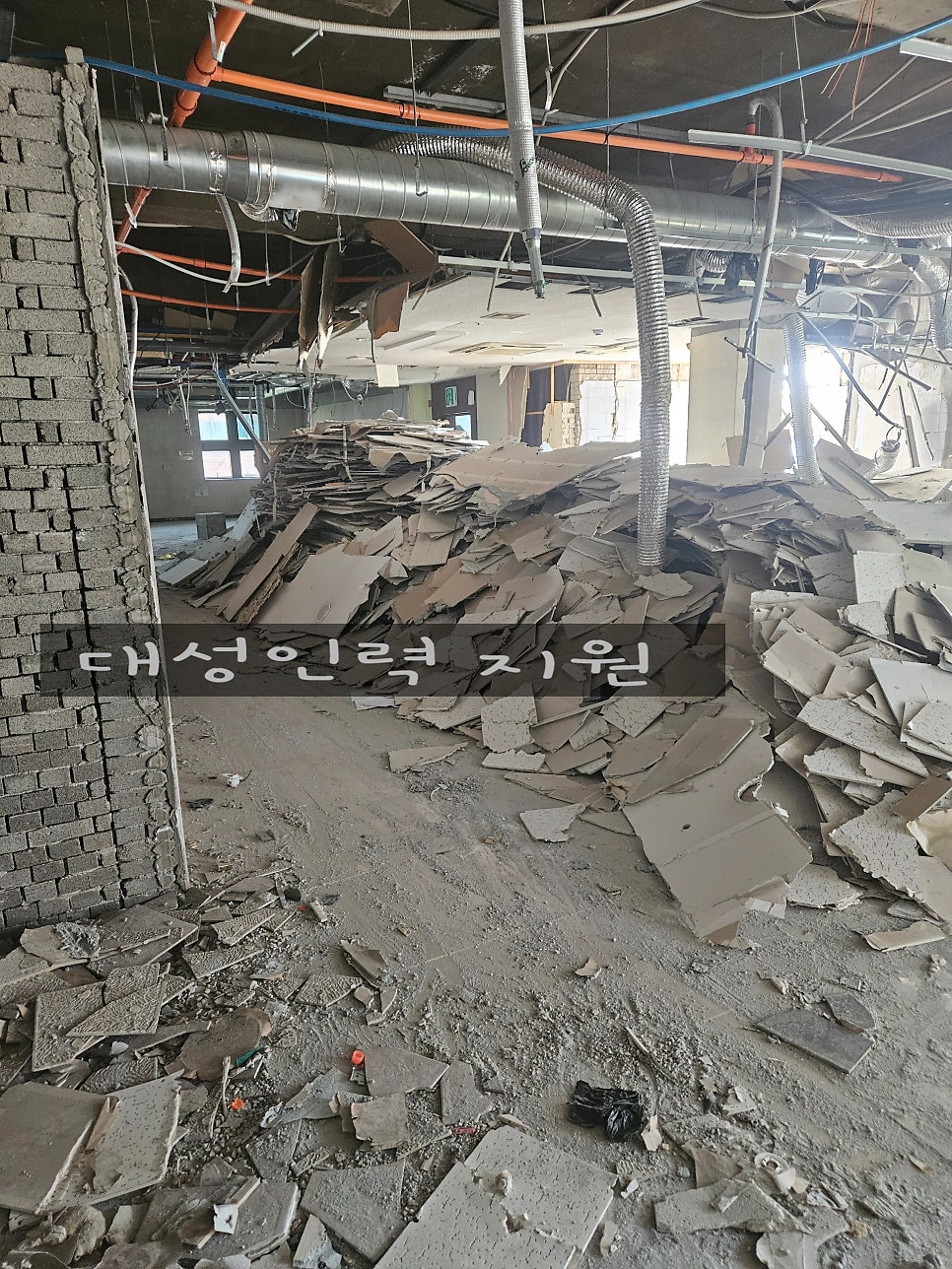 대성인력공사 이미지
