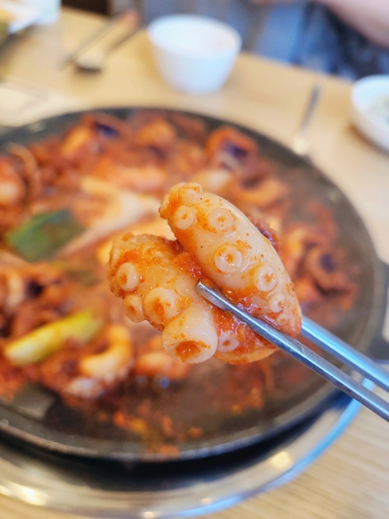 조아해낙지 이미지