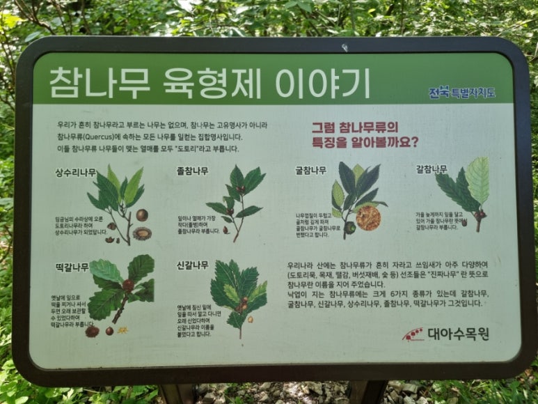수목 비교 관찰원 이미지