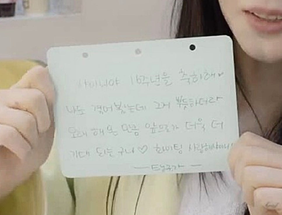 샤이스토리 이미지
