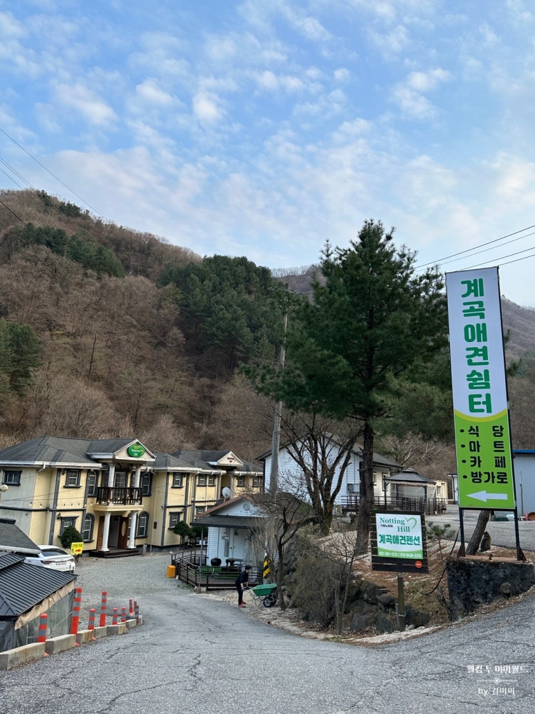 계곡좋은펜션 이미지