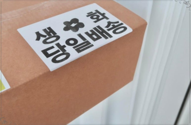 오늘, 꽃데이 이미지