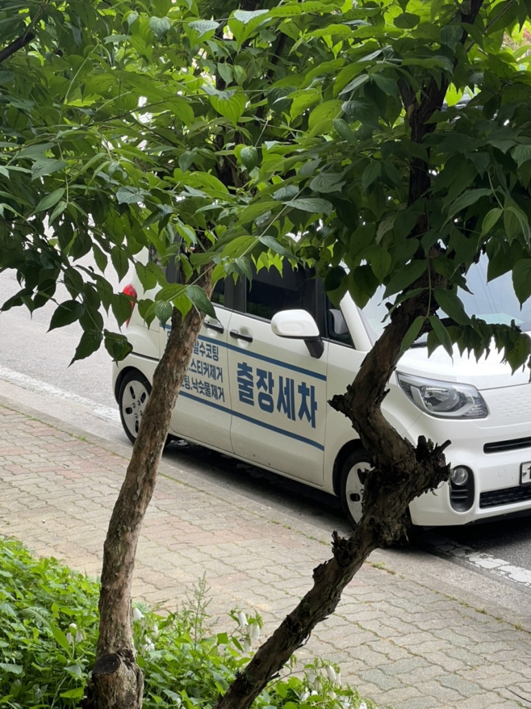 정성출장세차 이미지
