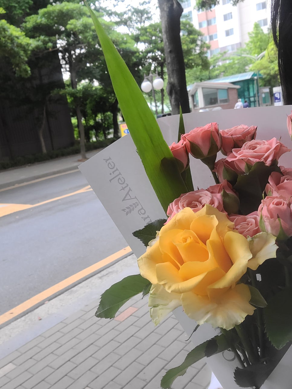 새아라아뜰리에 이미지