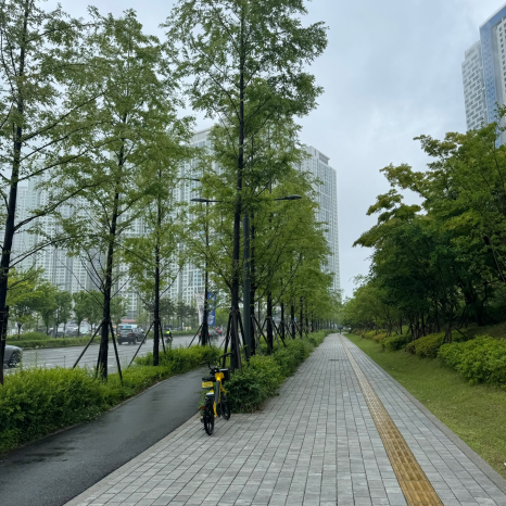샐러디 송도랜드마크시티점 이미지