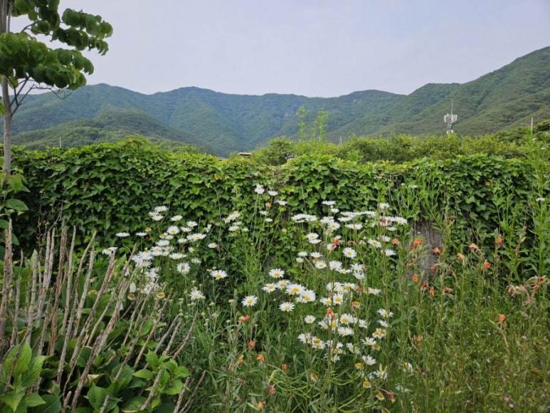 의령한과문화체험관 이미지