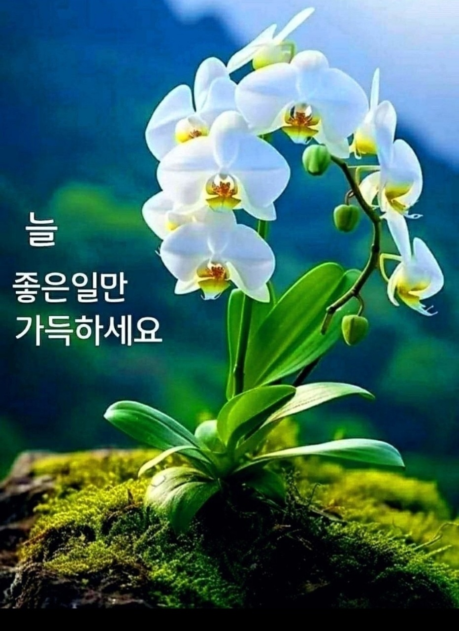 암실 이미지