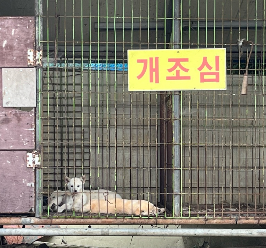 무등골장어구이 이미지