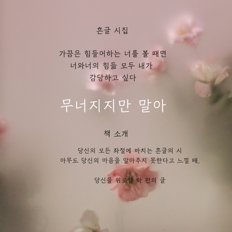 모모미 이미지