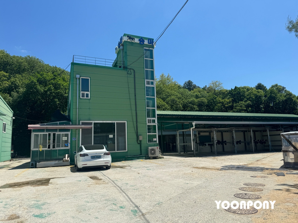 인덕원승마스쿨 이미지