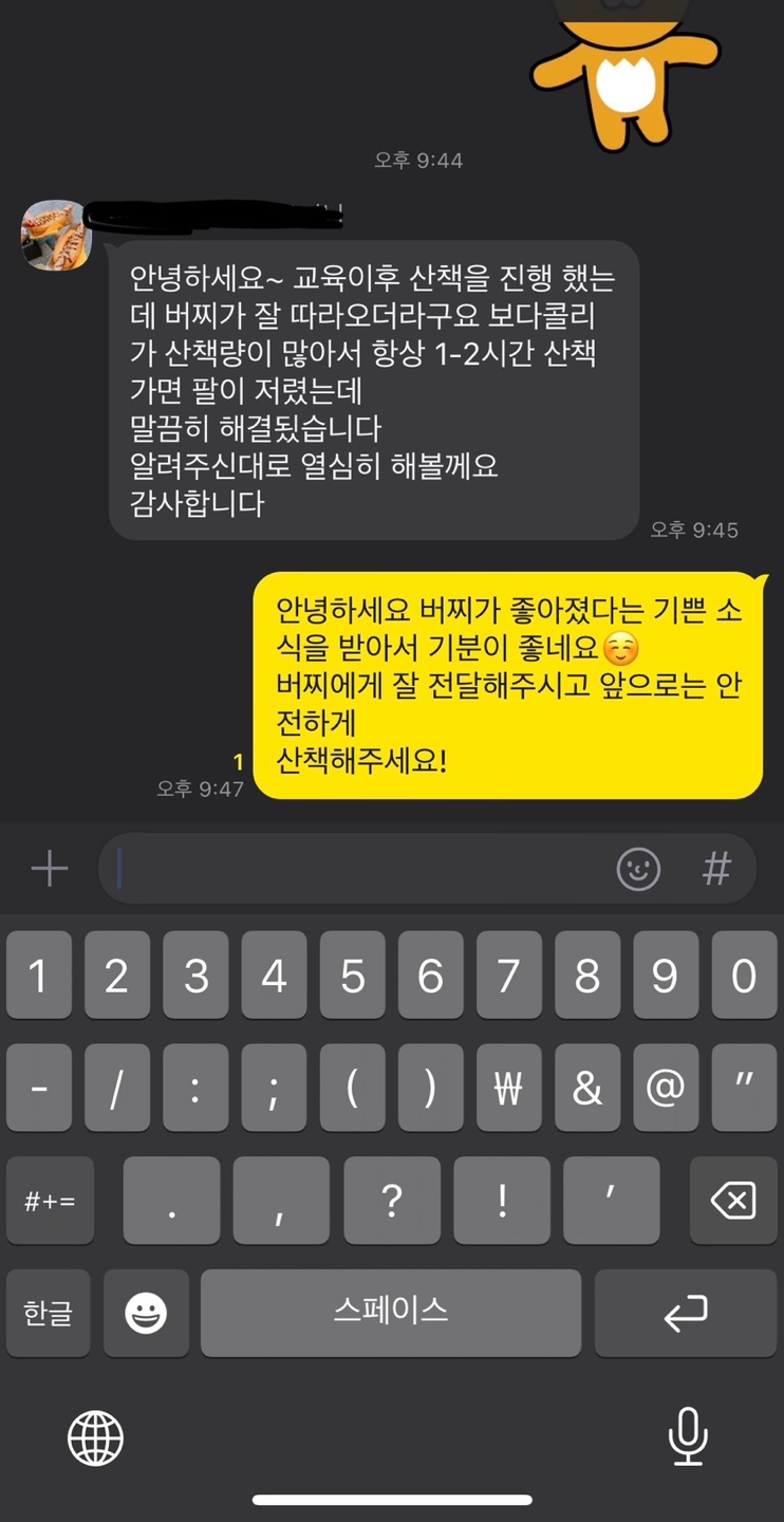 해피독반려견방문교육 이미지
