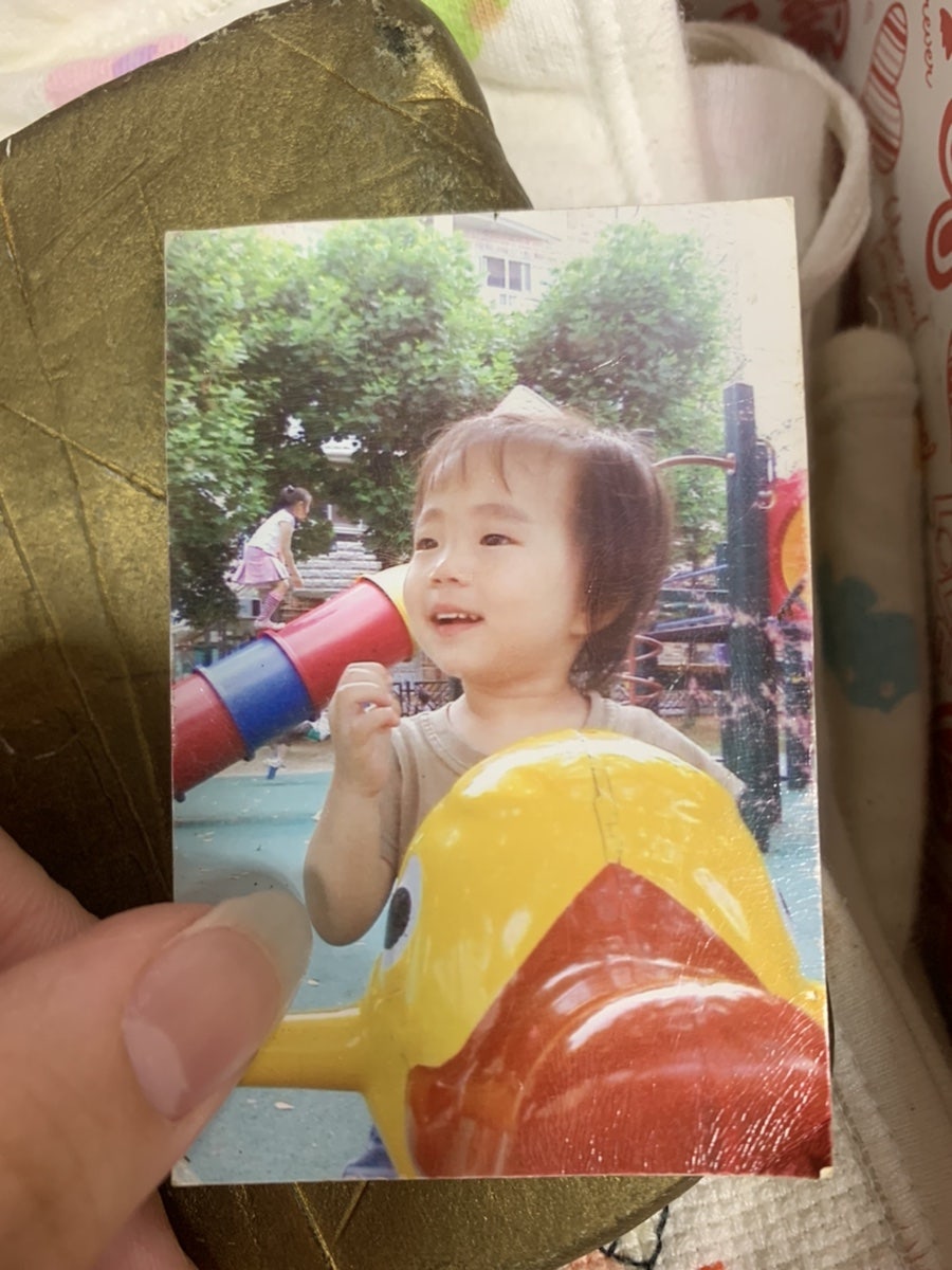 선진주 이미지