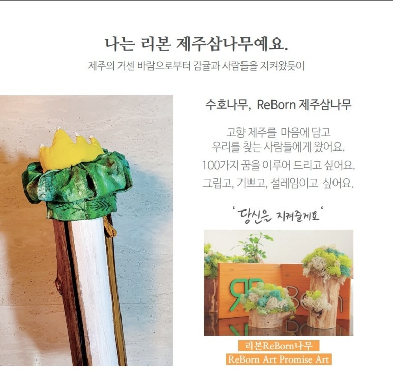 리본(Reborn) 이미지