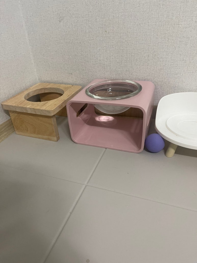 달빛시루 이미지