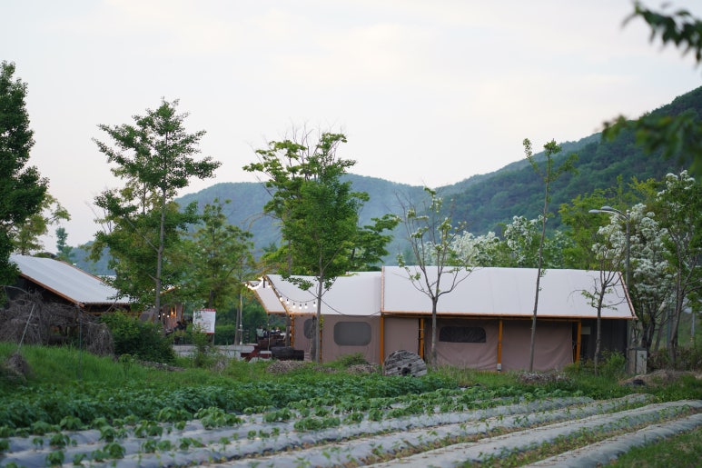 계룡산글램핑 파크오브드림 이미지
