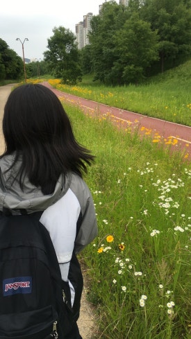 뽀유케이크 이미지