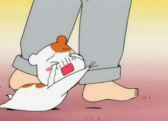 치킨필레오 이미지