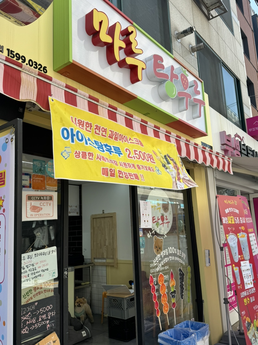마루탕후루부경대점 이미지