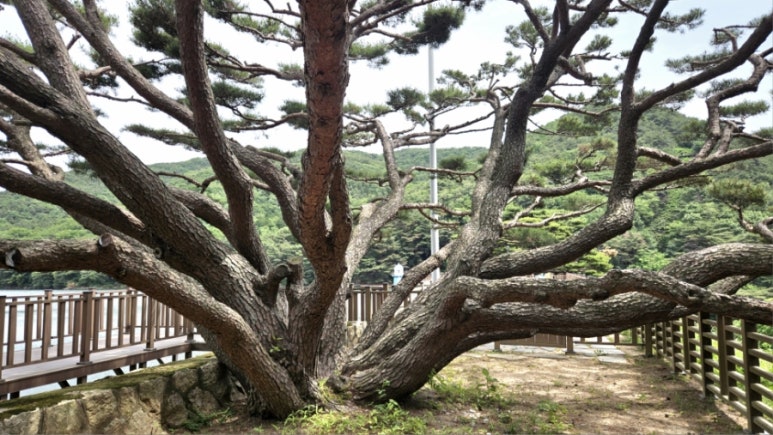 그루비주얼(주) 이미지