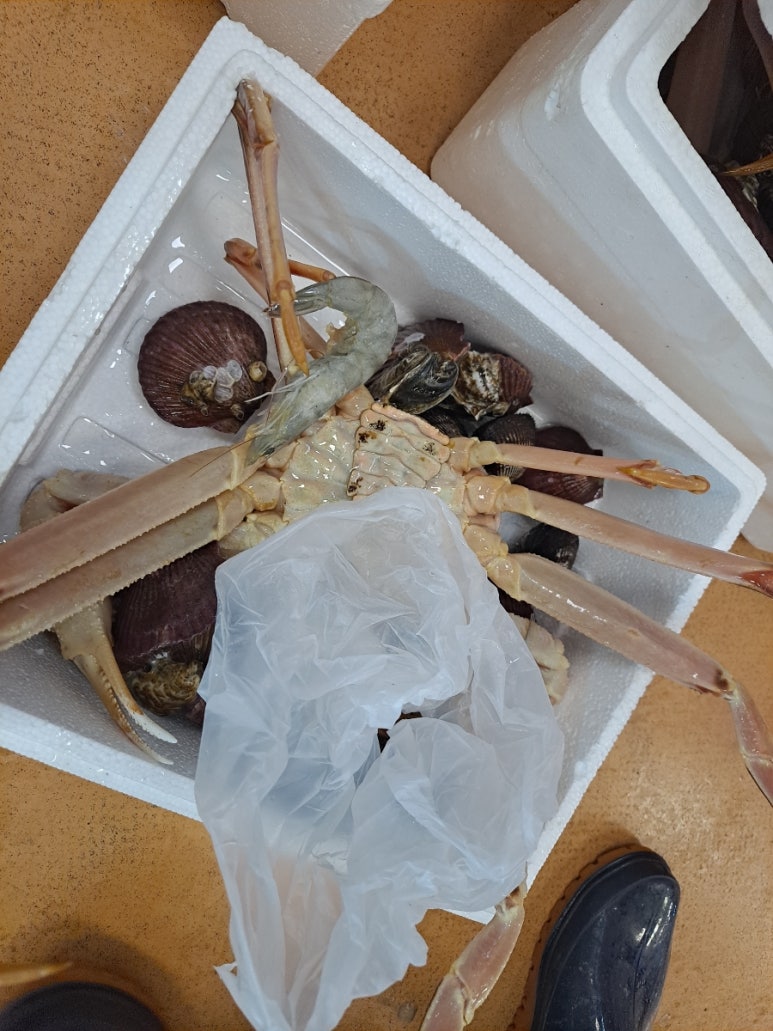 도연네찜 사진 5