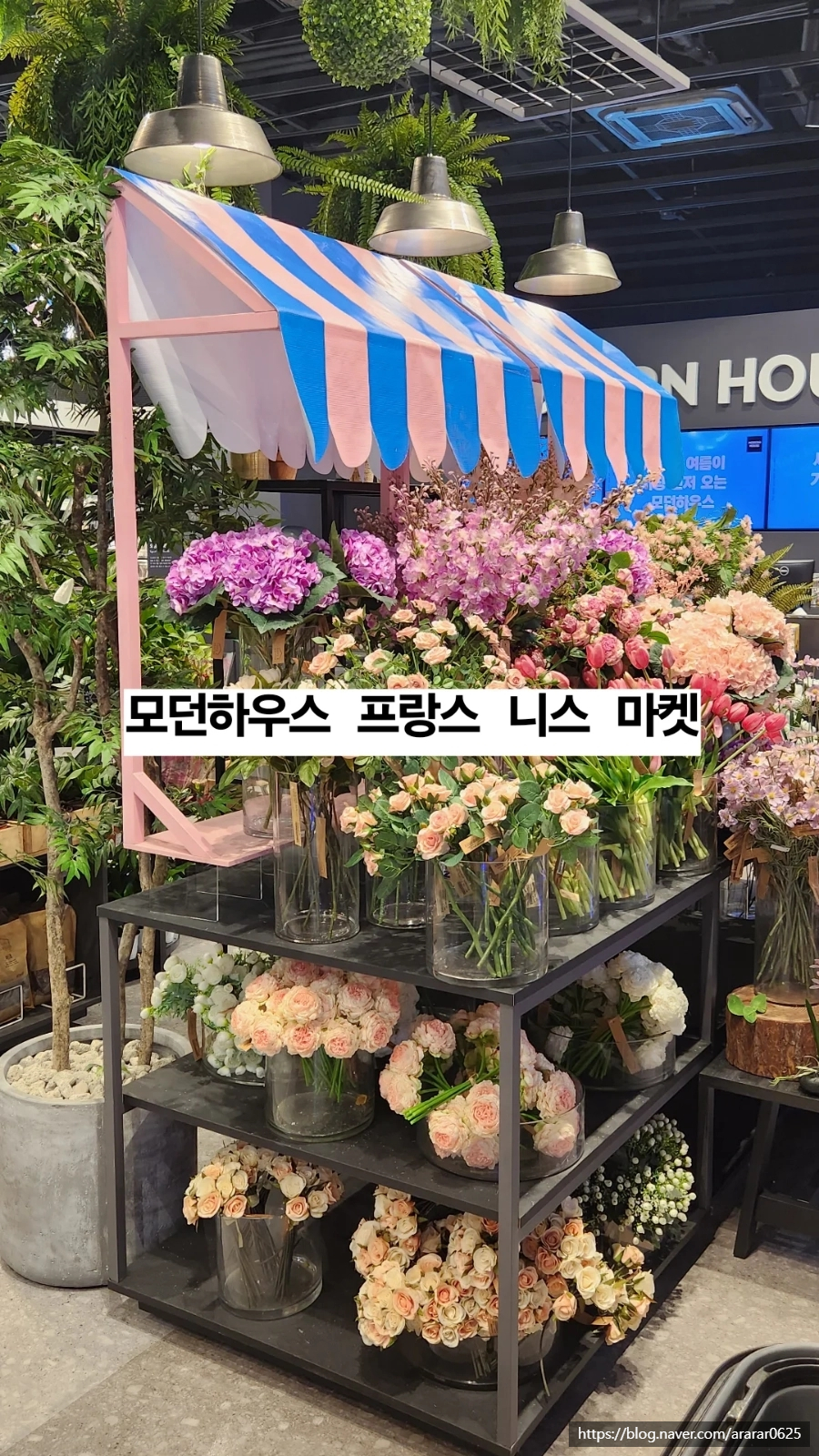 모던송도트리플스트리트점 이미지