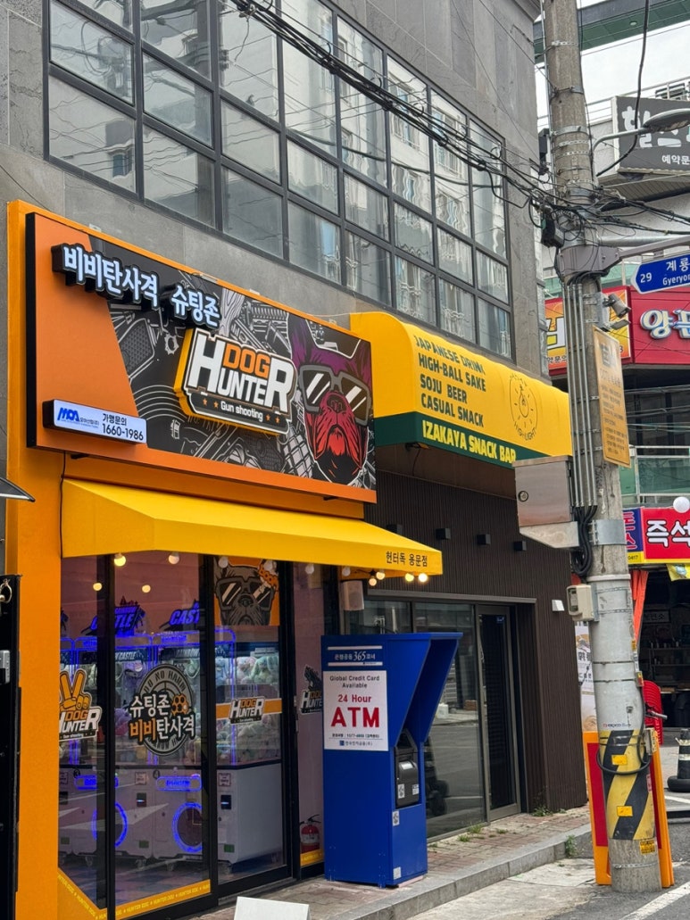 헌터독 이미지