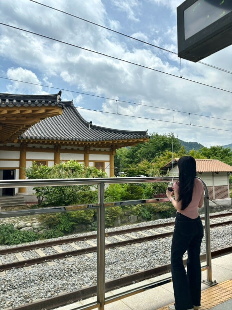 스윙노래연습장 이미지