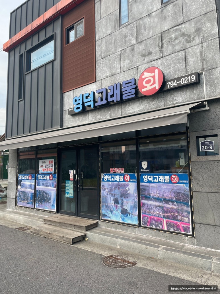 영덕고래불회 이미지