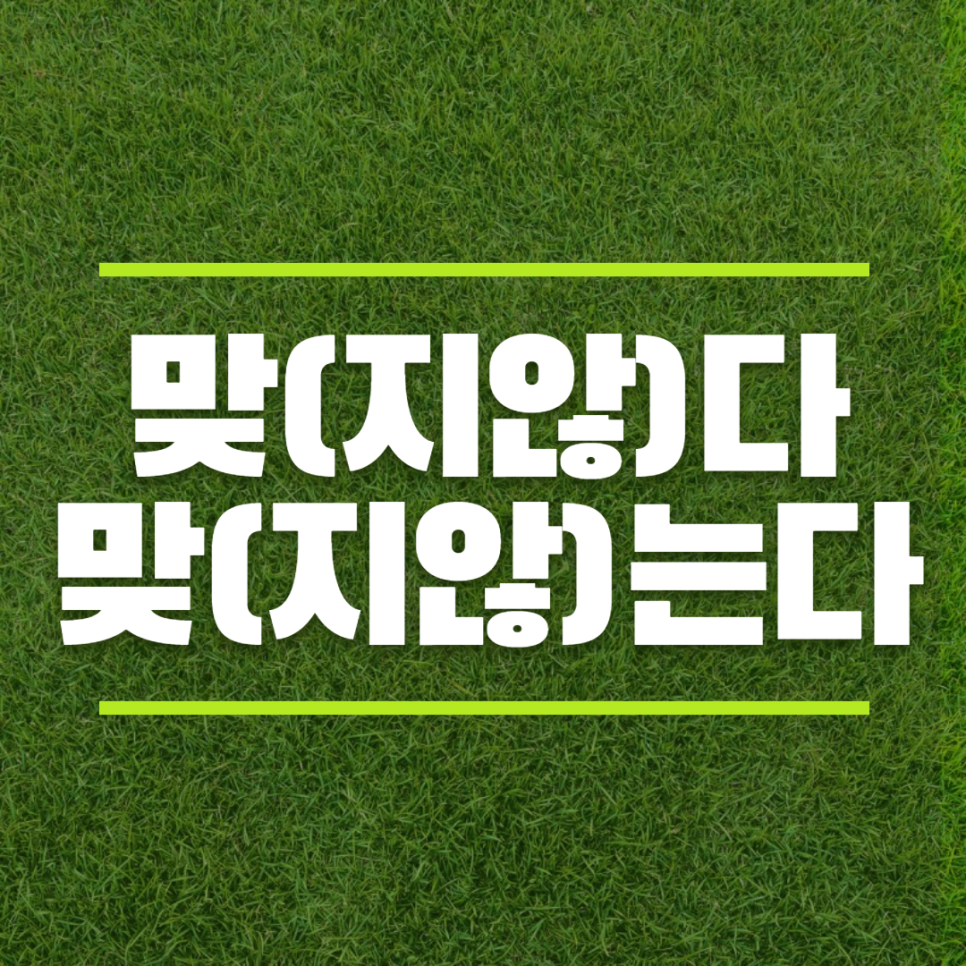 맞다vs맞는다, 둘 다 맞습니다 : 네이버 블로그