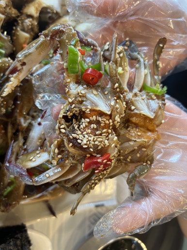 금바우 이미지