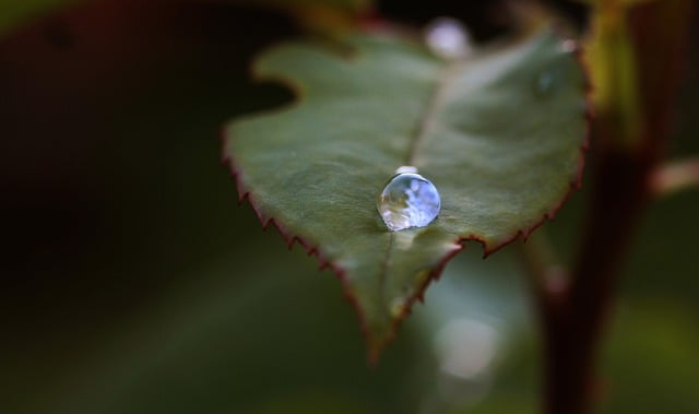 성주순대국 이미지