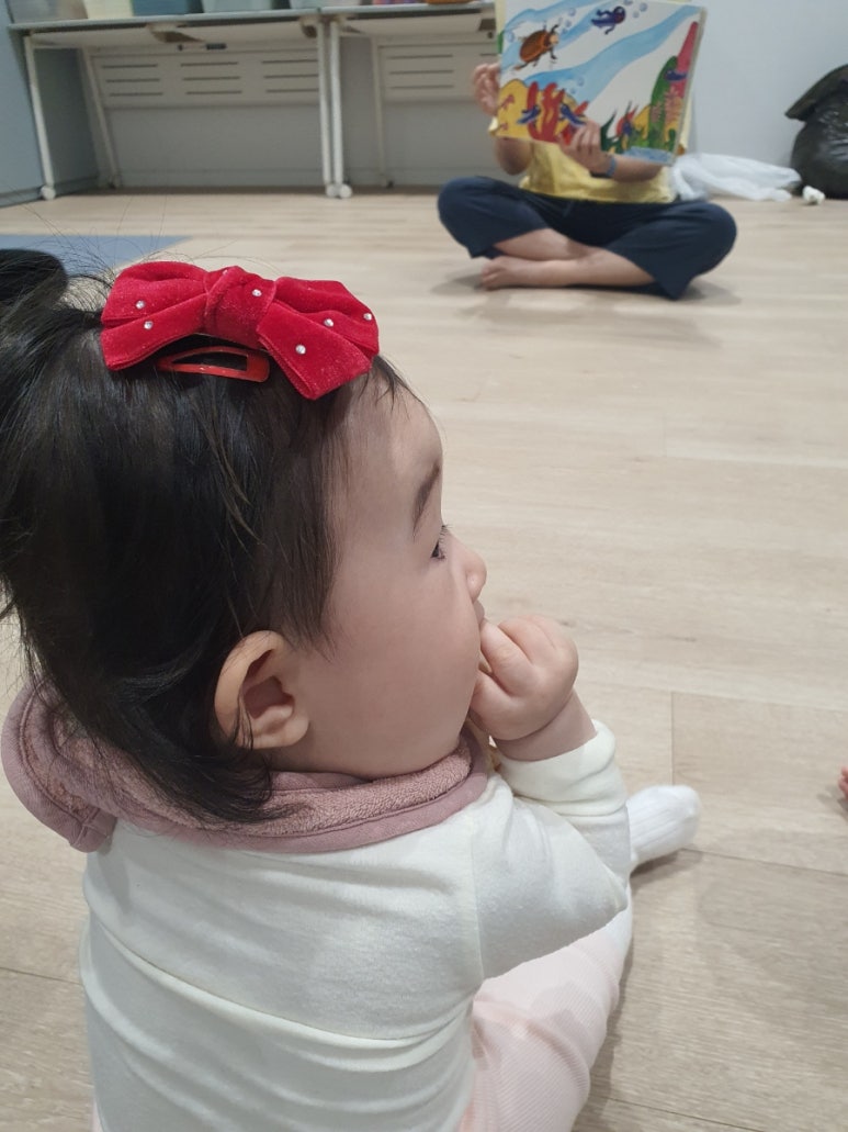 개구리화원 이미지