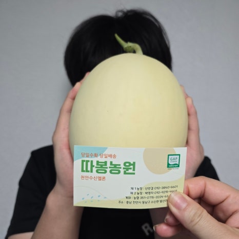 수진농원 이미지