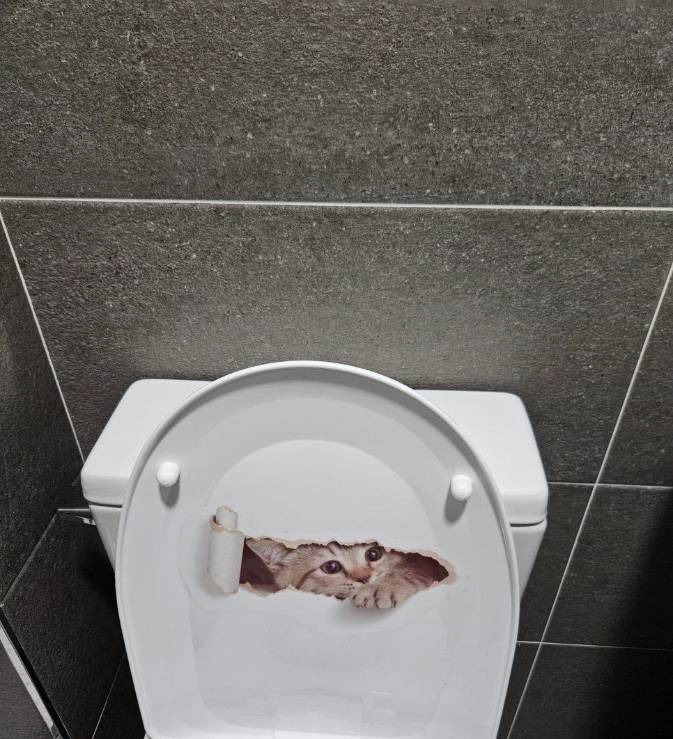 와이오비(YOB) 이미지