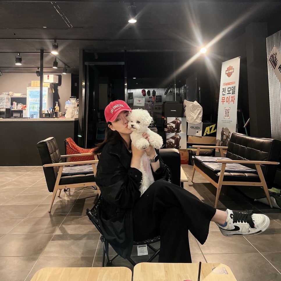 라잌바잌 이미지