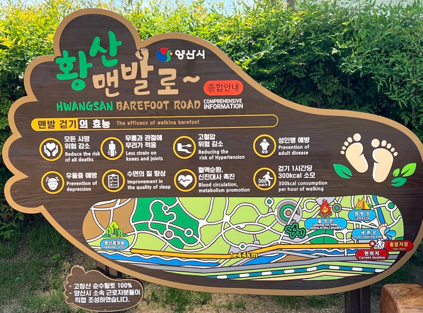 황산신발 이미지
