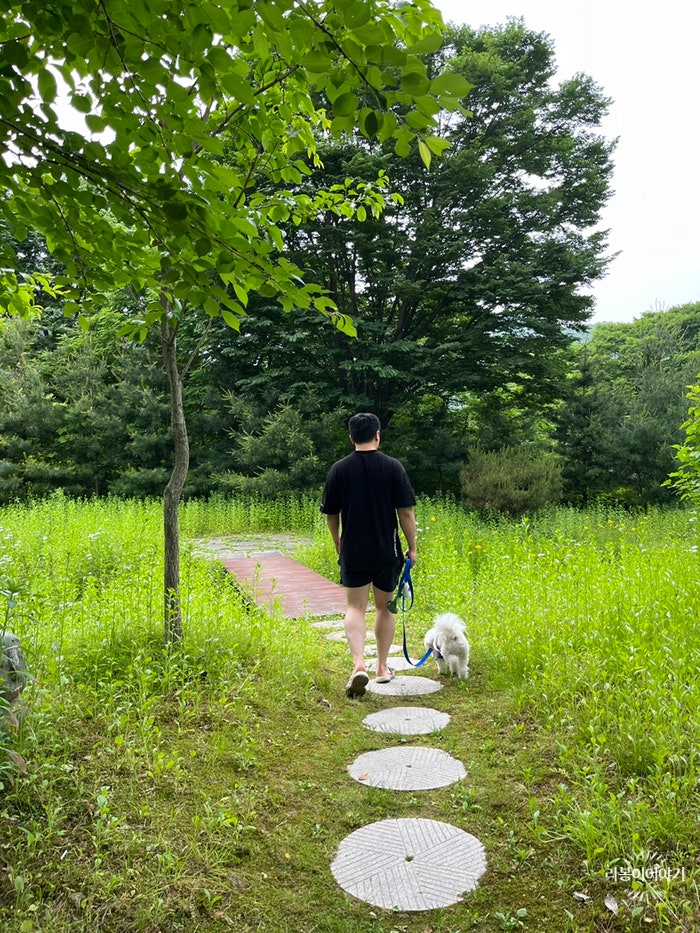 개네집캠핑장 이미지