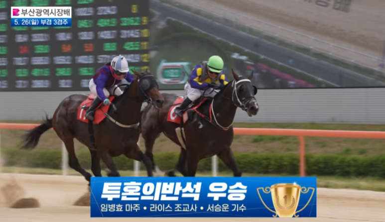 투혼글로벌 이미지