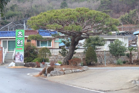 초원한우정육점 이미지