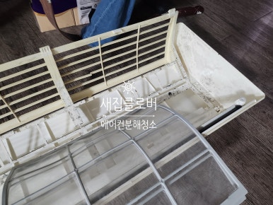 새집클로버 이미지