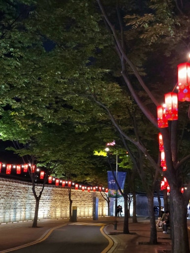 노모어피자경희대점 이미지