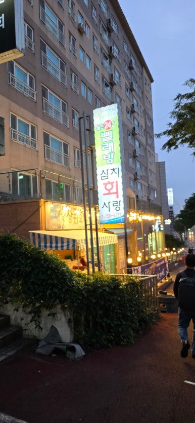 삼치회사랑 이미지