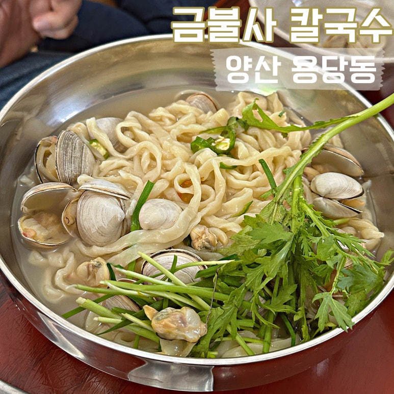 금불사 칼국수 이미지