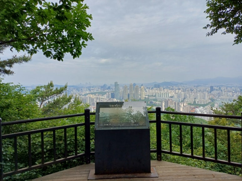 데크 조망점 이미지